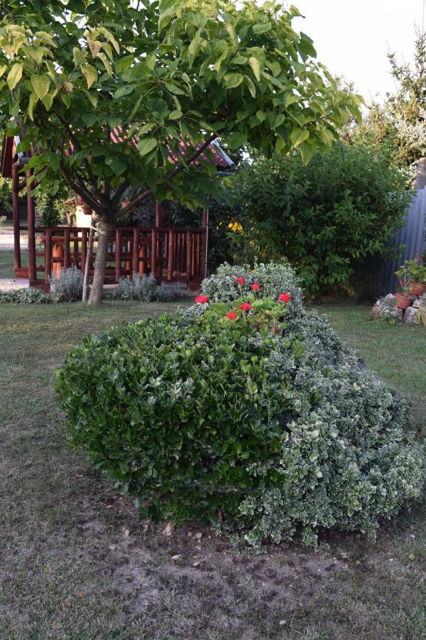 Prokop Vendeghaz Hotel Tolcsva Exterior photo